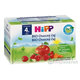 HiPP BIO ovocný čaj 4m+ 20x2 g