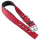 Ferplast nylonový obojek Daytona C Red 25 mm 45 cm