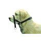 Beeztees Dog Control 2 ohlávka pro psy 24 cm