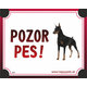 HP cedulka POZOR PES – dobrman