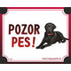 HP cedulka POZOR PES – černý labradorský retrívr