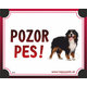 HP cedulka POZOR PES – bernský salašnický pes