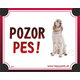 HP cedulka POZOR PES – irský setr