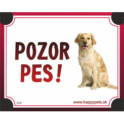 HP cedulka POZOR PES – světlý labradorský retrívr