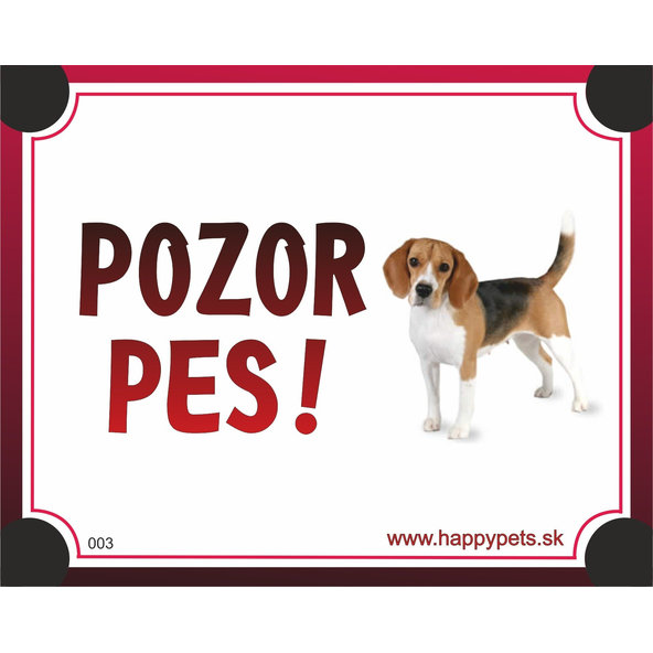 HP cedulka POZOR PES – beagle
