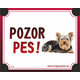 HP cedulka POZOR PES – yorkshirský teriér