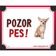 HP cedulka POZOR PES – čivava