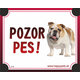 HP cedulka POZOR PES – buldok