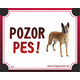HP cedulka POZOR PES – belgický ovčák