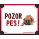 HP cedulka POZOR PES – boxer