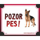 HP cedulka POZOR PES – německý ovčák