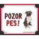 HP cedulka POZOR PES – americký pitbulteriér