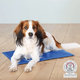 TRIXIE Cooling Mat L 65 × 50 cm modrá