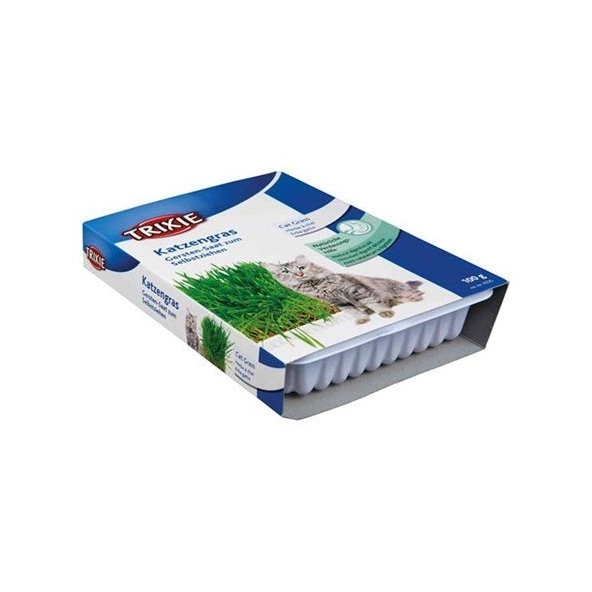 TRIXIE Cat Grass tráva pro kočky v misce 100 g
