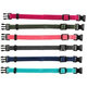 TRIXIE Junior sada obojků pro štěňata M–L 22–35 cm 6 ks