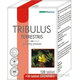 EDENPharma Tribulus 120 + 30 tablet zdarma