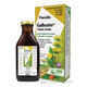 SALUS Floradix Gallexier 250 ml