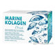 Biomedica Marine Kolagen Drink 30 sáčků
