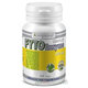 KOMPAVA Fyto Enzyme Complex 60 kapslí