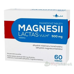 VULM Magnesii lactas 500 mg 60 tablet