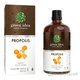 Green Idea Propolis tinktura kapky 50 ml