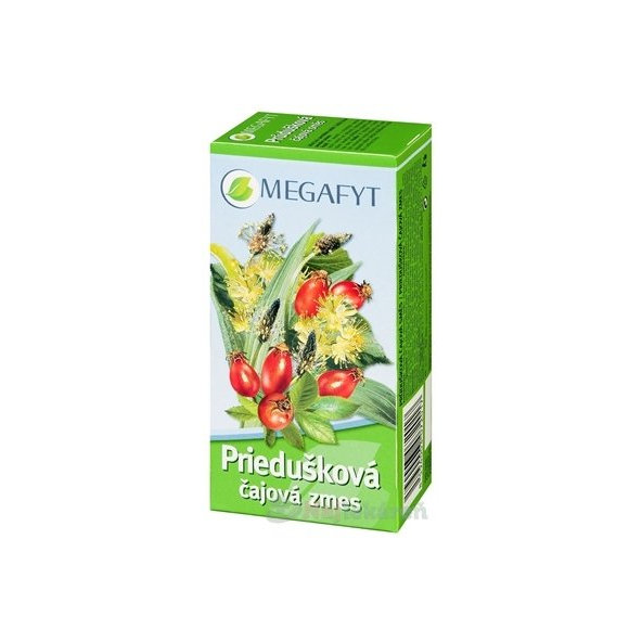 MEGAFYT Průdušková čajová směs 20 sáčků