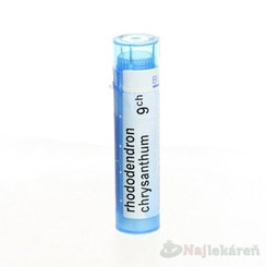 RHODODENDRON CHRYSANTHUM GRA HOM CH9 proti reumatickým bolestem 4 g