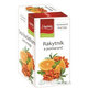 APOTHEKE Premier rakytník a pomaranč čaj 20×2 g