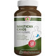 Pharmed Masticha Chios Original 120 kapslí