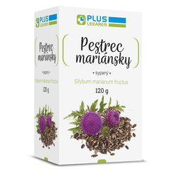 Plus Lekáreň ostropestřec mariánský 120 g