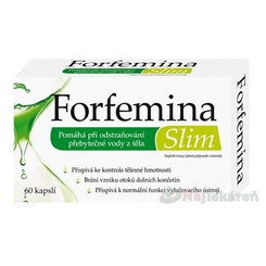 Dr. Theiss ForFemina Slim 60 kapslí