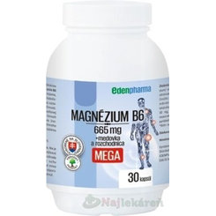 EDENPharma Hořčík B6 Mega 30 kapslí