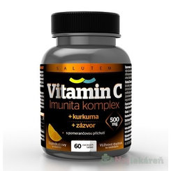 SALUTEM Vitamin C 500 mg Imunita komplex cucací tablety