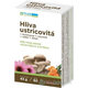 Plus Lekáreň Hlíva ústřičná + Echinacea + rakytník + Zn + Se 60 kapslí