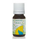 Hanus Silica jedle olej 10 ml