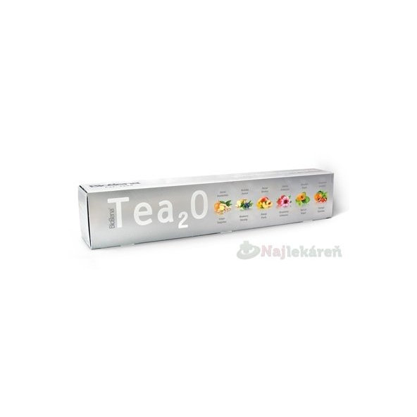 Biogena Tea2O Maxi kolekce čajů 60 sáčků