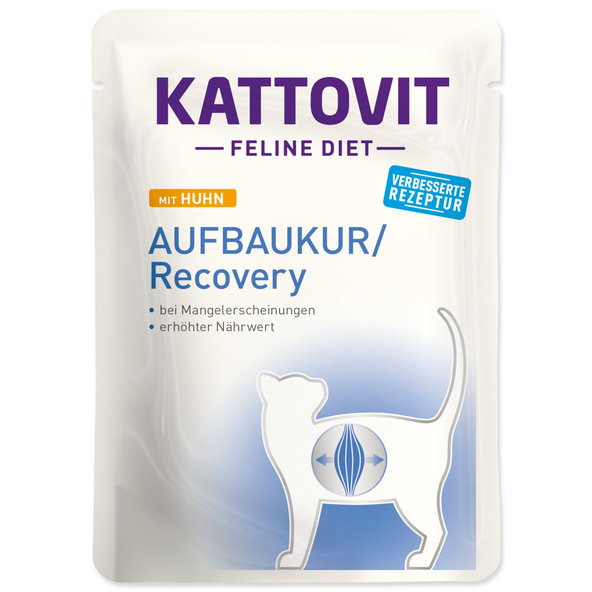 Kattovit Recovery kapsička kuře 85 g