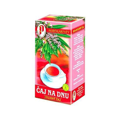 AGROKARPATY Čaj dna bylinný čaj 20x2 g