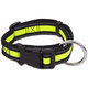 Dog Fantasy obojek Neoprene M limetkový 2,5×34–49 cm
