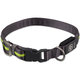 Dog Fantasy obojek USB LED nylonový svítící M-L zelený 2,5x45-65 cm
