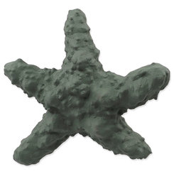 Dog Fantasy hračka Sea Natural Toy gumová hvězdice zelená 15 cm