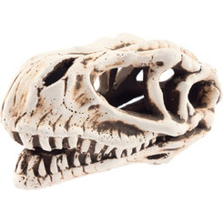 AQUA NOVA akvarijní dekorace Lebka dinosaura 14 cm