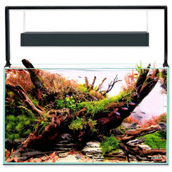 Aquael Ultrascape 60 Forest akvarijní set 64,8l