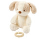 NATTOU Hračka plyšová hudební Teddy psík 24 cm 0 m+