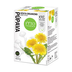 FYTO pampeliška kořen sypaný XXL 400 g