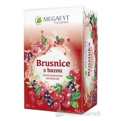 MEGAFYT Brusinky s bezem ovocný čaj 20 sáčků