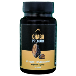 Hrotlife Chaga 60 kapslí