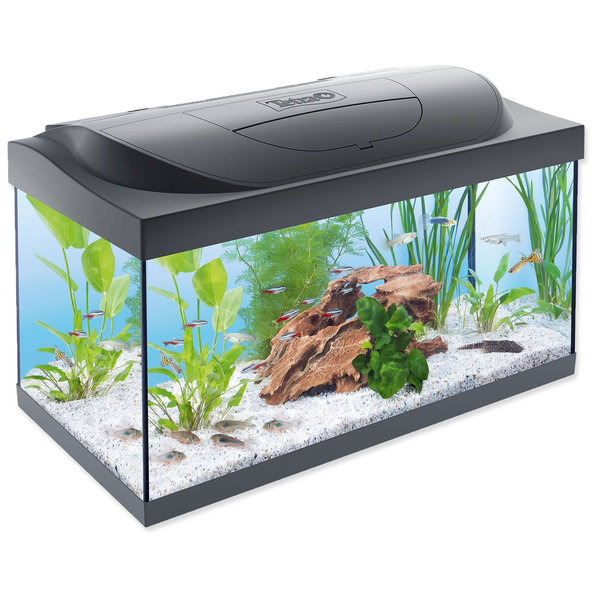 Tetra Starter Line LED akvarijní set 60 × 30 × 30 cm 54 l