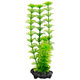 Tetra Ambulia S akvarijní rostlina 15 cm