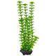 Tetra Plant Ambulia M dekorace do akvária 23 cm